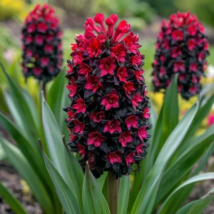 Гиацинт Джем Стоун купить по цене от 2099р. в интернет-магазине «Посадика» с доставкой почтой в в Зернограде и по всей России – [изображение №1].