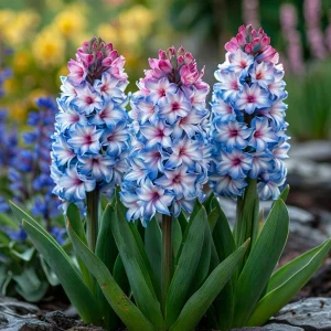 Гиацинт Пинк Мари купить по цене от 2099р. в интернет-магазине «Посадика» с доставкой почтой в в Зернограде и по всей России – [изображение №1].