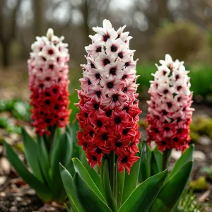 Гиацинт Скай Гарден купить по цене от 2099р. в интернет-магазине «Посадика» с доставкой почтой в в Зернограде и по всей России – [изображение №1].